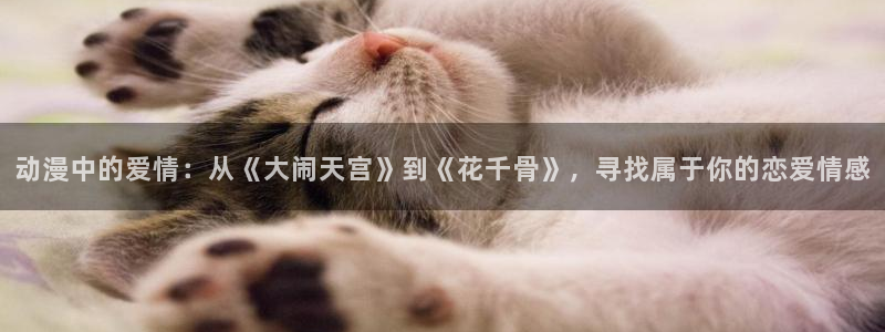 omofun动漫官网入口网址：动漫中的爱情：从《大闹天宫》到《花千骨》，寻找属于你的恋爱情感