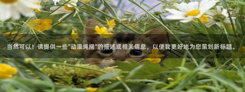 omofun动漫网,omofun弹幕网：当然可以！请提供一些\