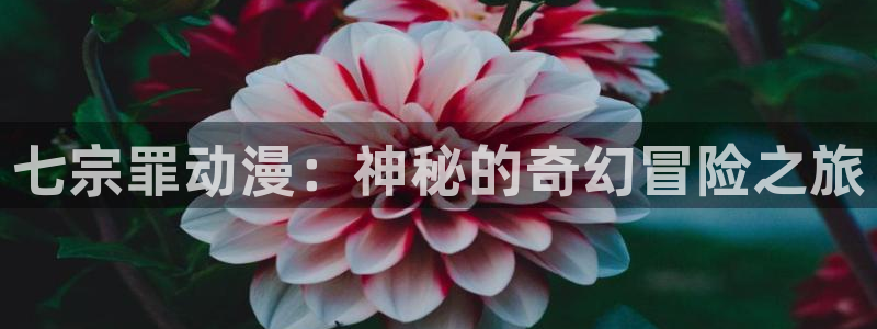 omofun动漫官网下载ios：七宗罪动漫：神秘的奇幻冒险之旅